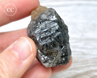 Black Tourmaline and Quartz Specimen #14