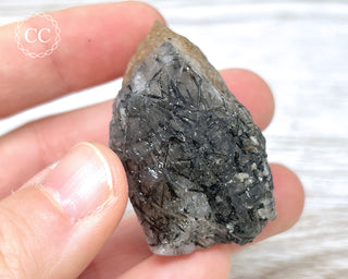 Black Tourmaline and Quartz Specimen #14