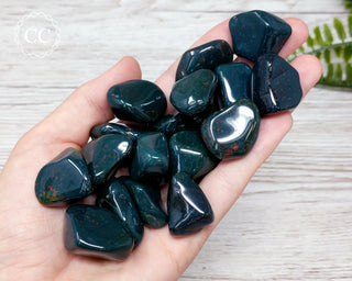 Bloodstone tumbled crystals in hand