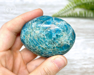 Blue Apatite Chunky Palmstone #4
