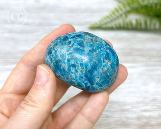Blue Apatite Chunky Palmstone #9