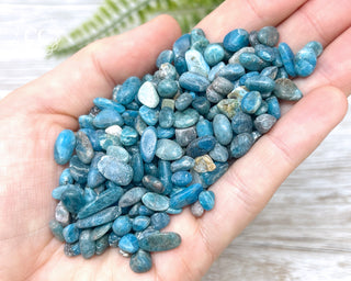 Blue Apatite Crystal Chips in hand