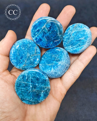 Blue Apatite Dragon Egg