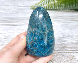 Blue Apatite Freeform #1