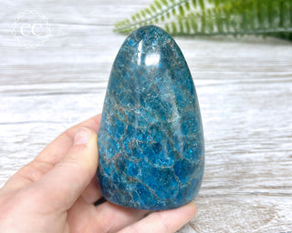 Blue Apatite Freeform #1