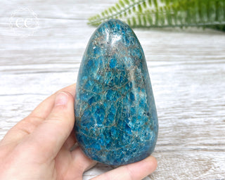 Blue Apatite Freeform #1