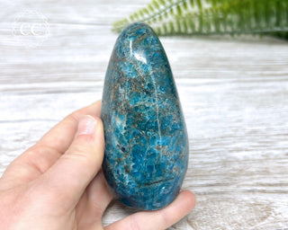 Blue Apatite Freeform #1