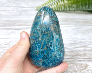 Blue Apatite Freeform #1