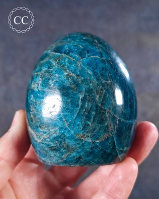 A hand holding a Blue Apatite Cut base freeform from Madagascar
