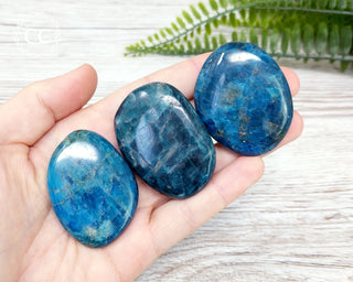 Blue Apatite Palm Stones in hand