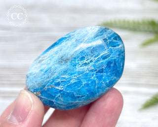 Blue Apatite Chunky Palm Stone #2