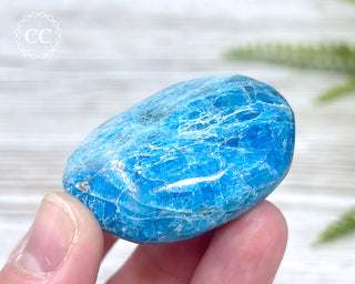 Blue Apatite Chunky Palm Stone #2