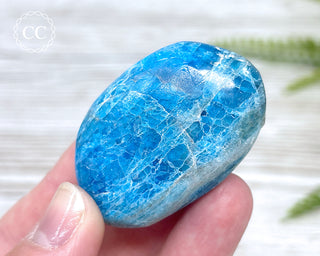 Blue Apatite Chunky Palm Stone #2