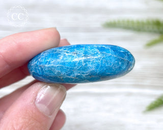 Blue Apatite Chunky Palm Stone #2