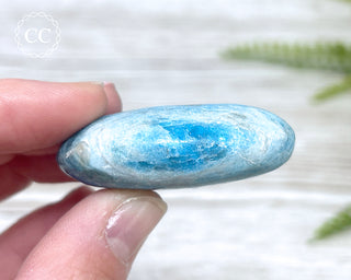 Blue Apatite Chunky Palm Stone #2