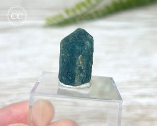 Apatite Crystal #1