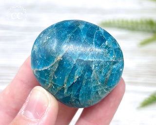 Apatite Crystal #1