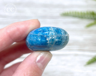 Blue Apatite Chunky Palm Stone #2