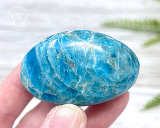 Blue Apatite Chunky Palm Stone #4