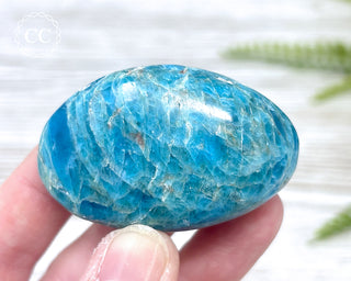 Blue Apatite Chunky Palm Stone #4