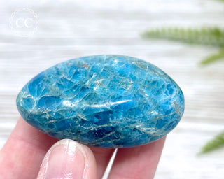 Blue Apatite Chunky Palm Stone #4