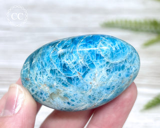 Blue Apatite Chunky Palm Stone #4