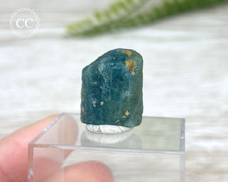 Apatite Crystal #1