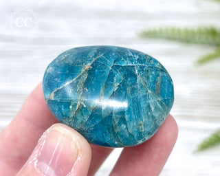 Blue Apatite Chunky Palm Stone #1