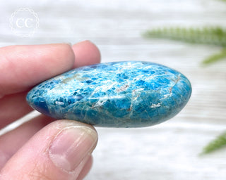 Blue Apatite Chunky Palm Stone #4