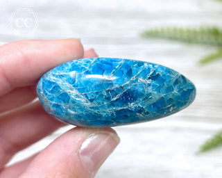 Blue Apatite Chunky Palm Stone #4