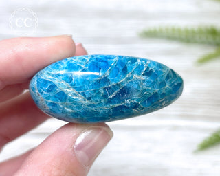 Blue Apatite Chunky Palm Stone #4