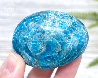 Blue Apatite Chunky Palm Stone #5