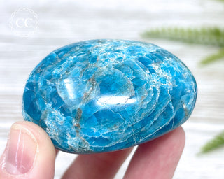 Blue Apatite Chunky Palm Stone #5