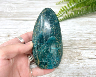 Blue Apatite Freeform #1