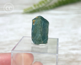 Apatite Crystal #1