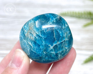 Apatite Crystal #1