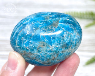 Blue Apatite Chunky Palm Stone #5