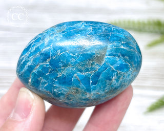 Blue Apatite Chunky Palm Stone #5