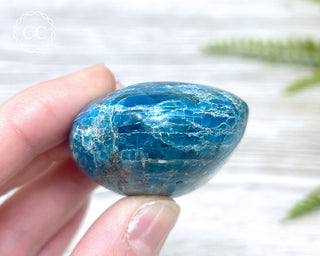 Blue Apatite Chunky Palm Stone #5