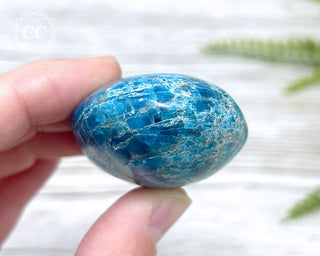 Blue Apatite Chunky Palm Stone #5