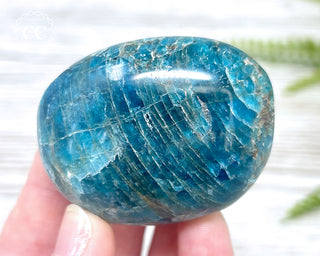 Blue Apatite Chunky Palm Stone #7