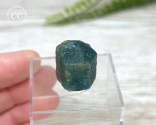 Apatite Crystal #1