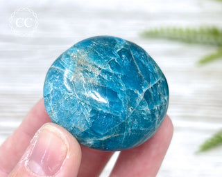 Blue Apatite Chunky Palm Stone #1