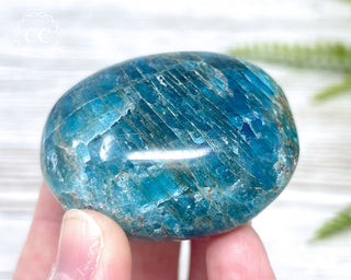 Blue Apatite Chunky Palm Stone #7