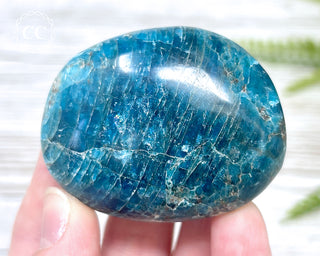 Blue Apatite Chunky Palm Stone #7