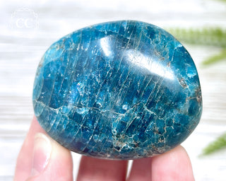 Blue Apatite Chunky Palm Stone #7