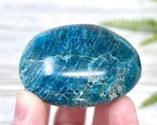 Blue Apatite Chunky Palm Stone #7