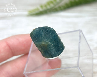 Apatite Crystal #1