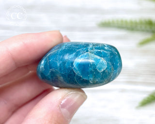 Apatite Crystal #1