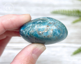 Blue Apatite Chunky Palm Stone #7